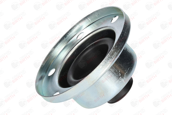 BIRTH Vorderachse beidseitig, getriebeseitig, 56mm, Gummi D2: 100mm, D1: 21mm, Höhe: 56mm, Gummi Antriebswellenmanschette 7171 online kaufen