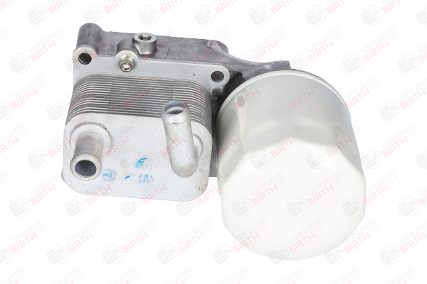 80046 Ψυγείο λαδιού FORD FOCUS BIRTH