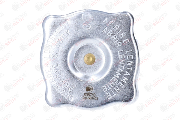 8087 Dangtelis, radiatorius BIRTH 4256228 AUDI