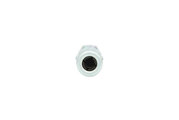 Dyse, fettpresse KS TOOLS 9801013