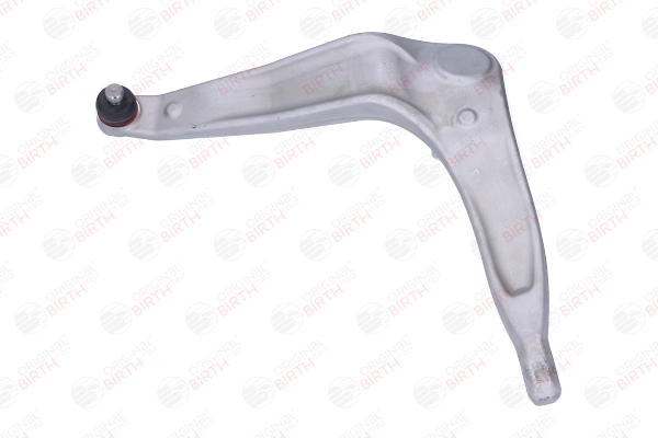 BR1760 Querlenker BIRTH RBJ 102511 DAF