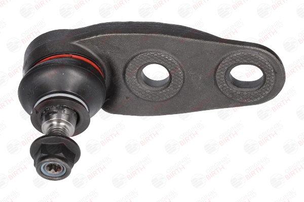 CS0004 Fuseekogel BIRTH 31124048629-