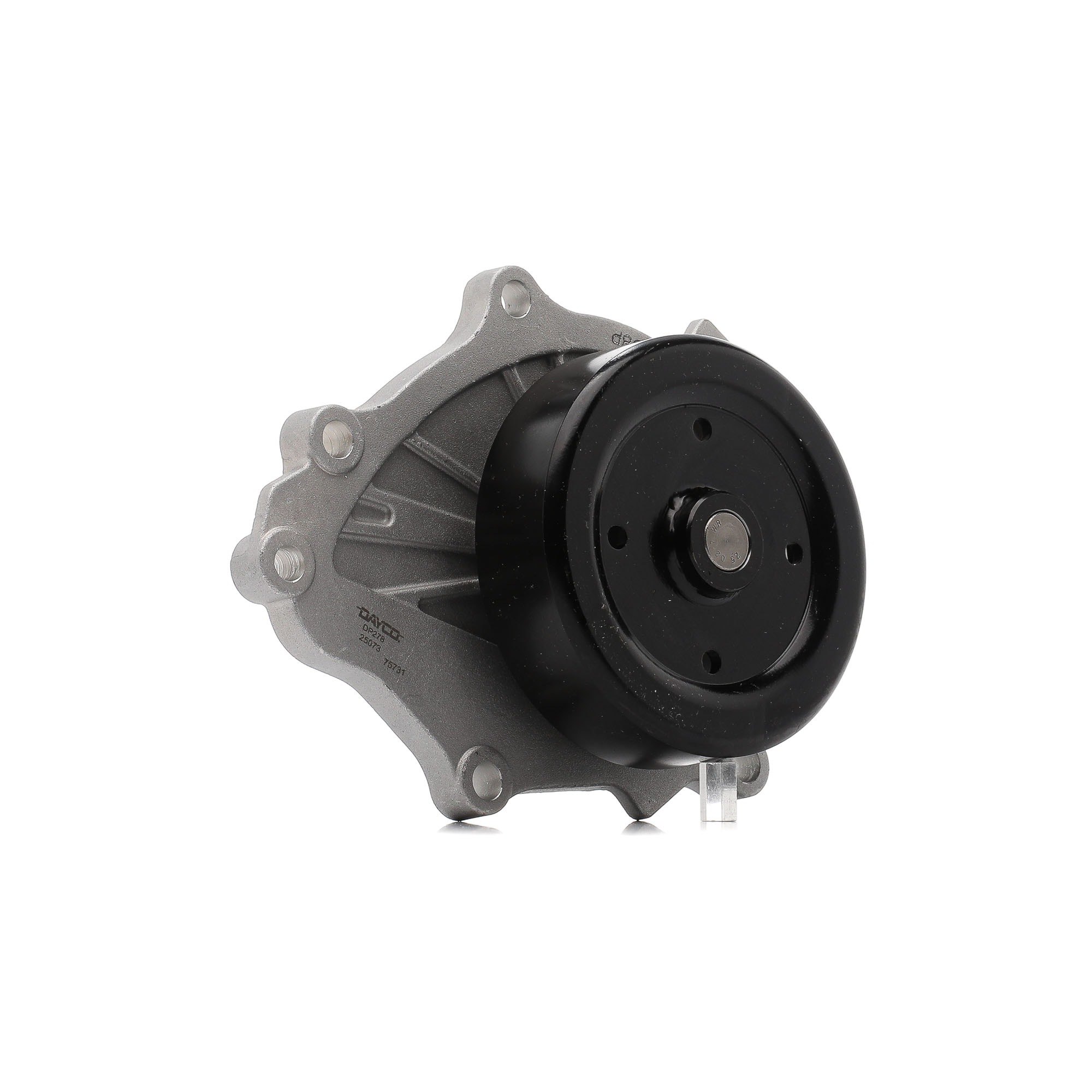 DAYCO DP278 Pompa acqua