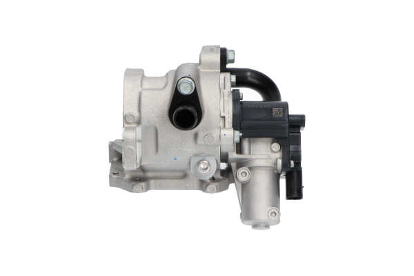 KAVO PARTS EEG3029 EGR Hyundai H350 Minibus 2.5 CRDI 170 CV Diesel 2024 prix