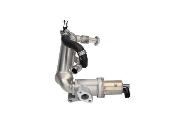 EEG-3031 ERG vožtuvas KAVO PARTS 284202A770 HYUNDAI