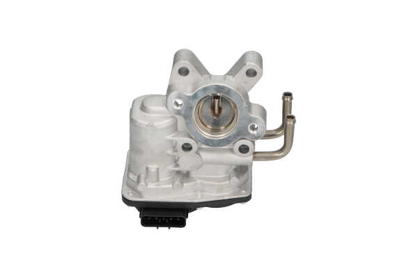 Nissan PATROL EGR valve KAVO PARTS EEG-6505 cheap