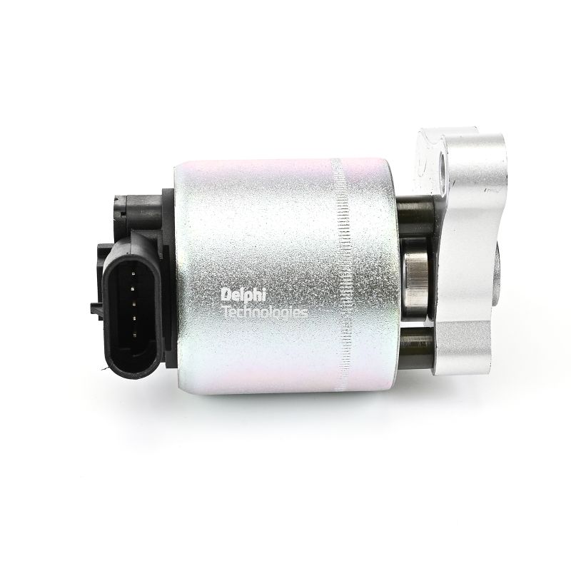 ERG vožtuvas DELPHI EG10003