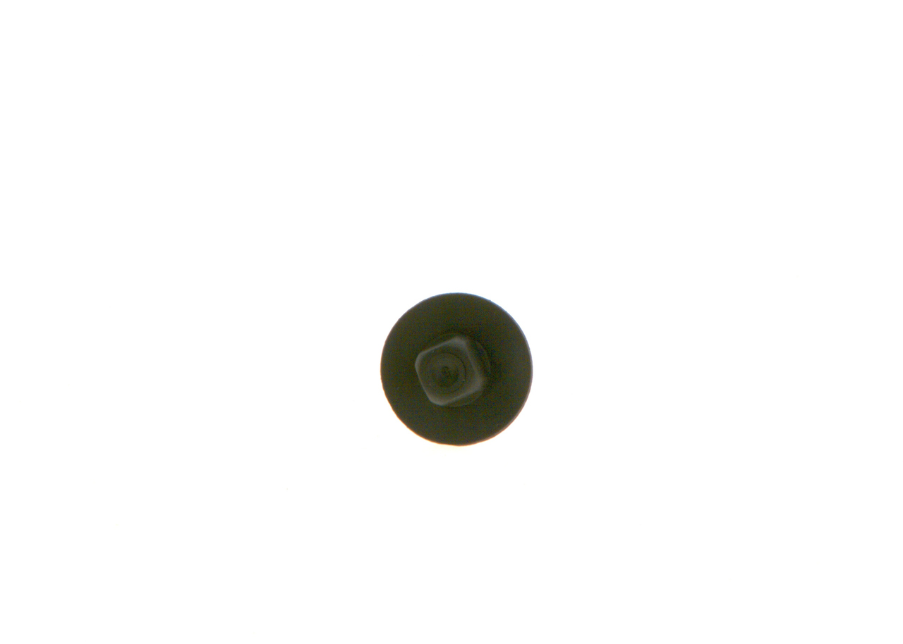 BOSCH Kappe F 00R J02 551