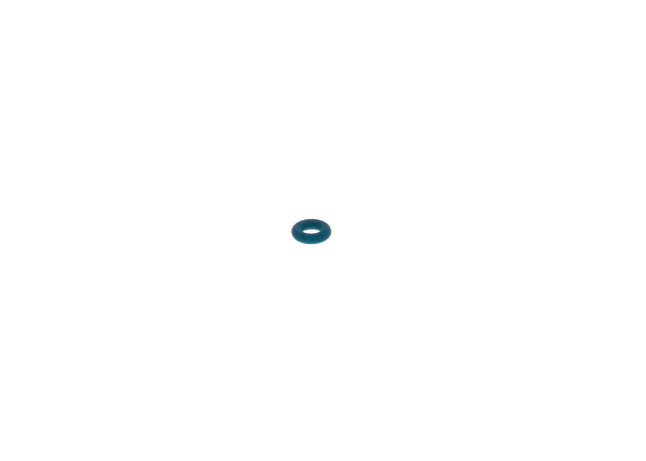 F00VH24006 Rubber Ring BOSCH 166181LA0A