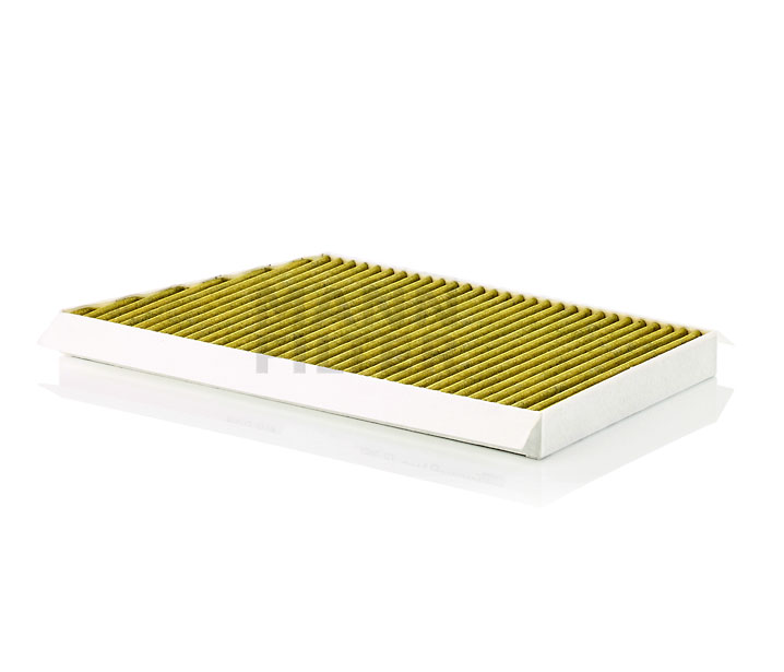 MANN-FILTER FP 3461/1 Pollen filter