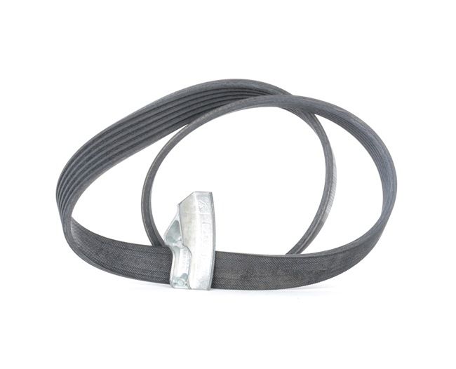 6PK842830ELAST CONTITECH 6PK842 ELAST T1 Ķīļrievu siksna