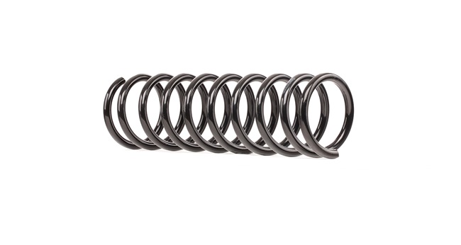 RIDEX 188C0534 Coil spring