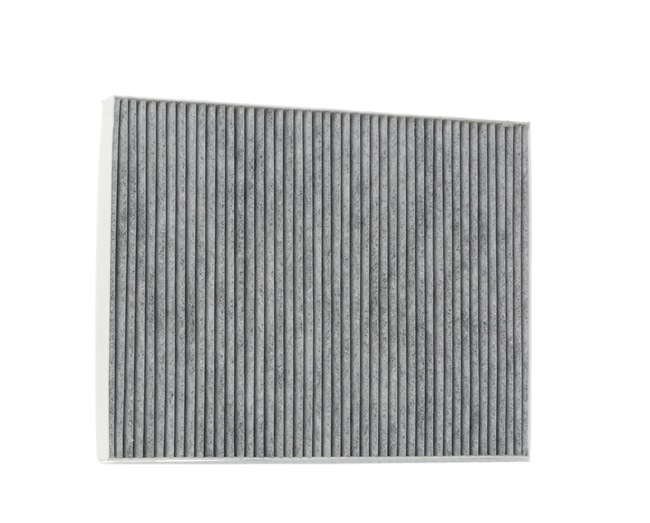 RIDEX Pollen filter 424I0404