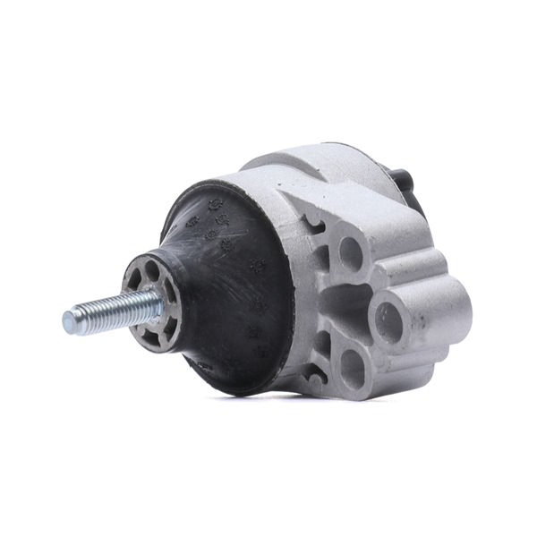RIDEX 247E0250 Vlezajenje, motor