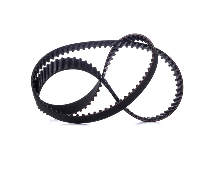 RIDEX Cinghia dentata 306T0234