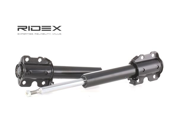 RIDEX 854S2089 Shock absorber
