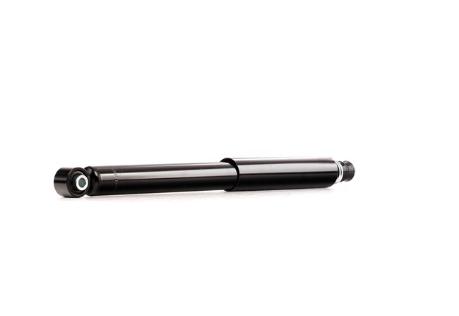 RIDEX 854S2100 Shock absorber