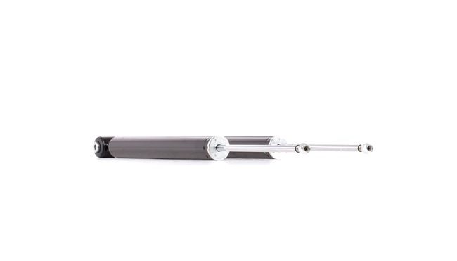 RIDEX Shock absorber 854S2176
