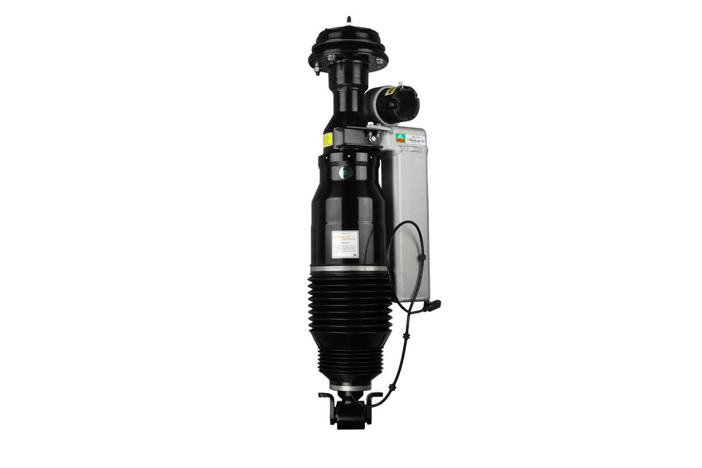Arnott Right Front Air strut AS-2746 buy