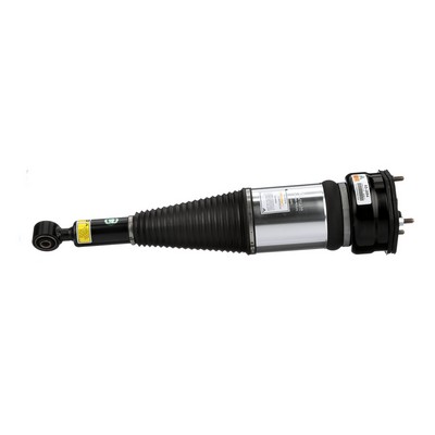 AS-2894 Amortecedor pneumático Arnott 48010-50130