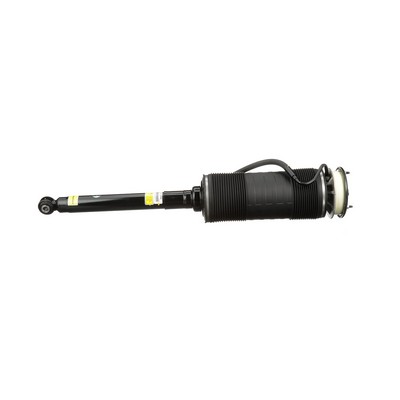 Купете SK-2556 Arnott отзад ляво Въздушен амортисьор SK-2556 евтино