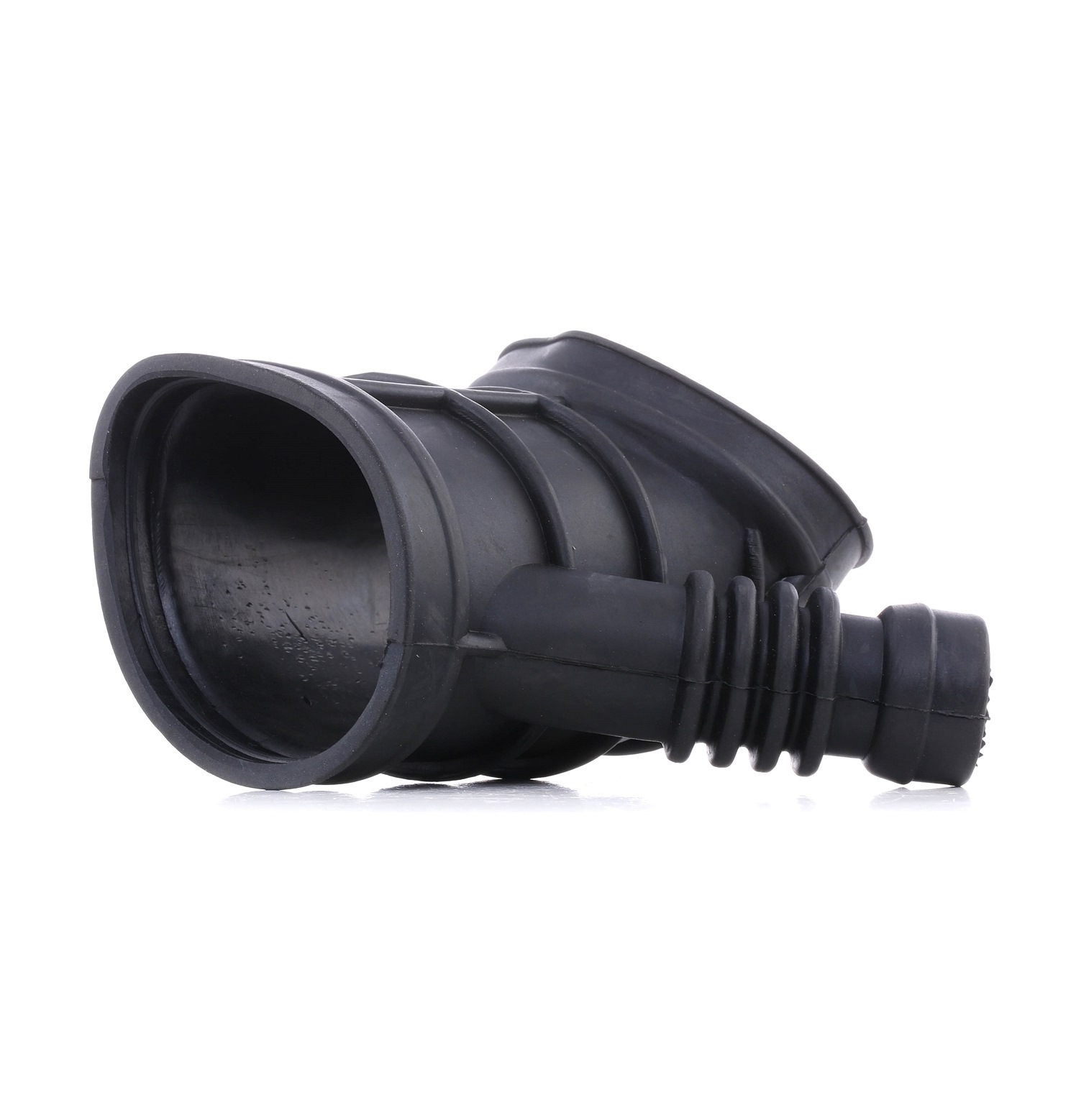 RIDEX 1591I0002 Intake pipe, air filter BMW 3 Series 2012 price