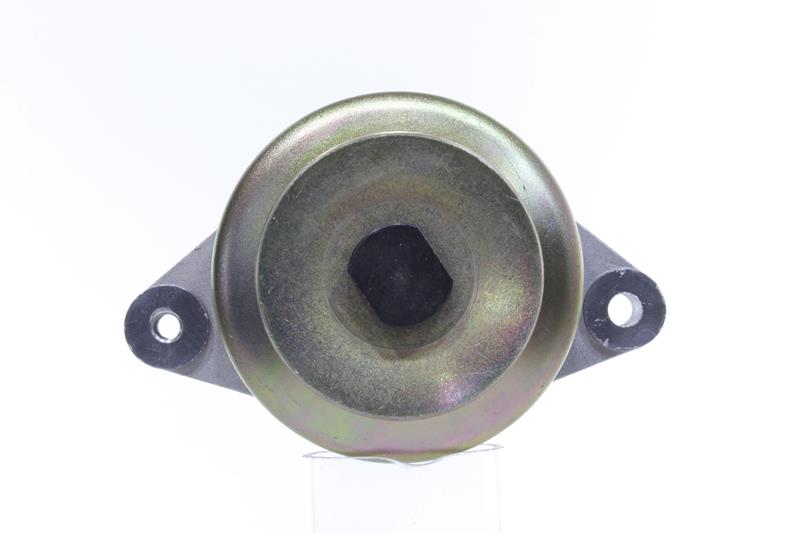 443884 10443884 Lichtmaschine ALANKO 1553164017