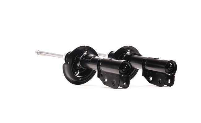 RIDEX Shock absorber 854S1579
