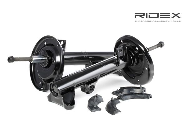RIDEX 854S1675