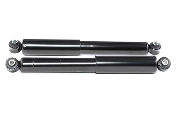 RIDEX Shock absorber 854S1739