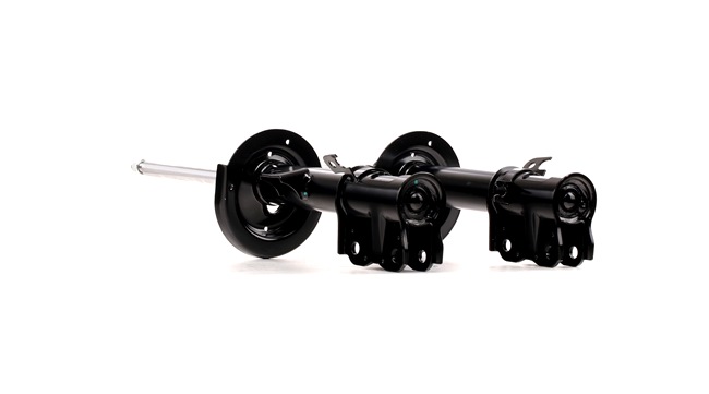 RIDEX Shock absorber 854S1849