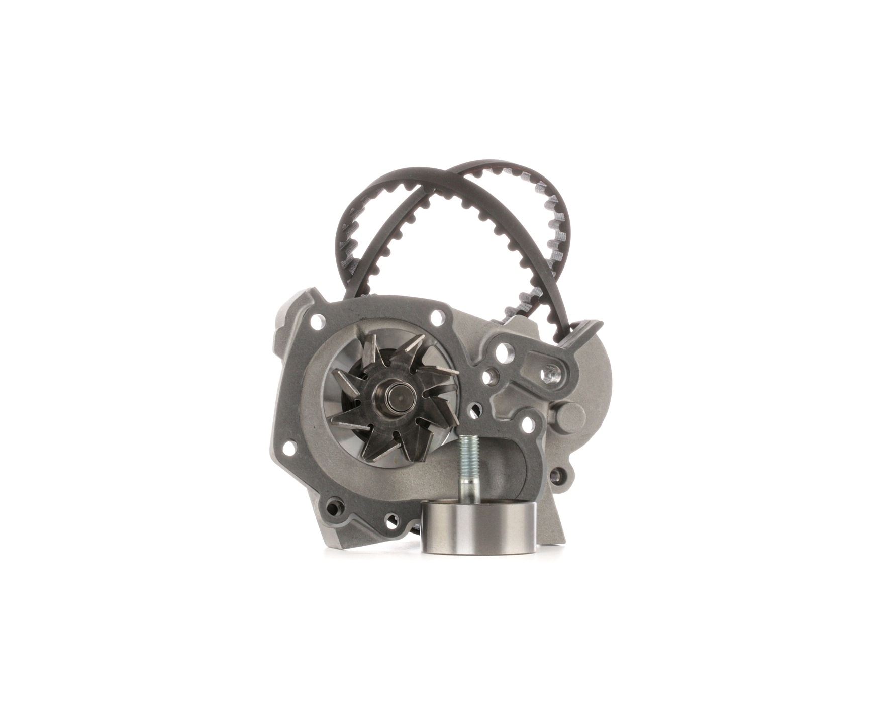 RIDEX 3096W0111 Water pump + timing belt kit Renault 19 B/C53