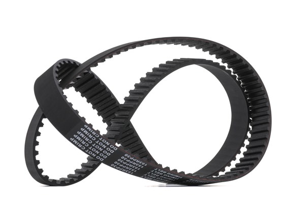 RIDEX Timing Belt 306T0113