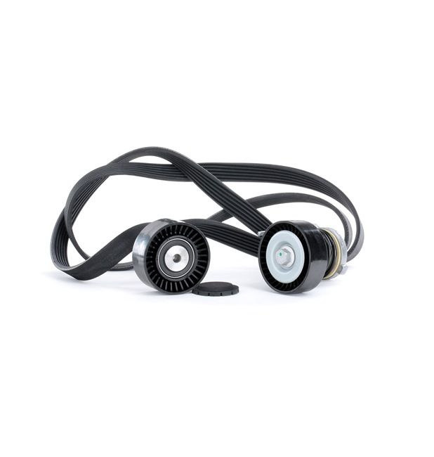 SNR GA380.00 Poulie, Tendeur De Courroie D'accessoire