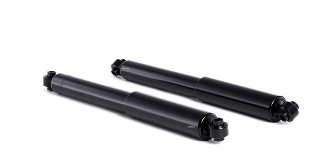 RIDEX Stoßdämpfer 854S0055