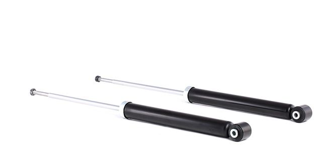 RIDEX Shock absorber 854S0393