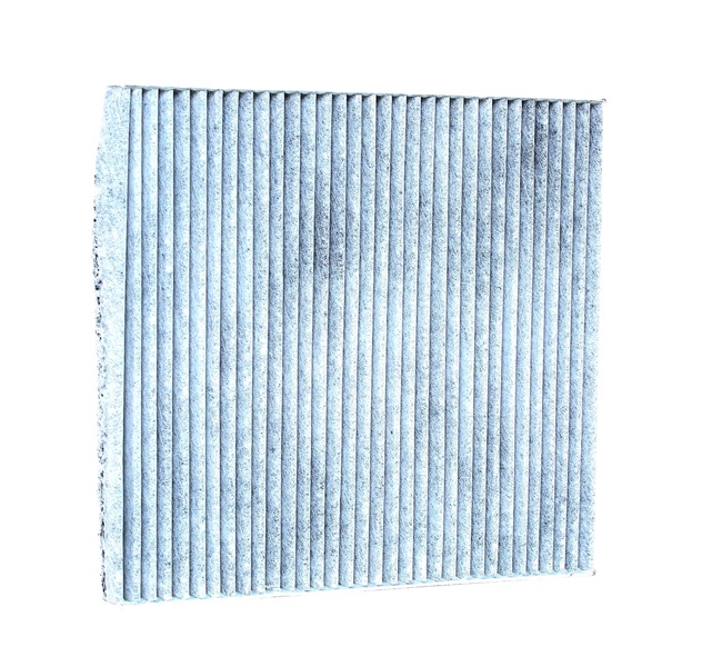 RIDEX 424I0275 Pollen filter