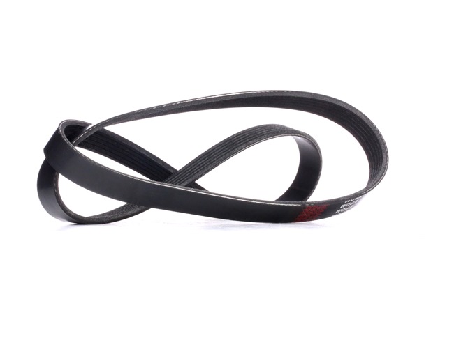 RIDEX Courroie Poly-V 305P0341