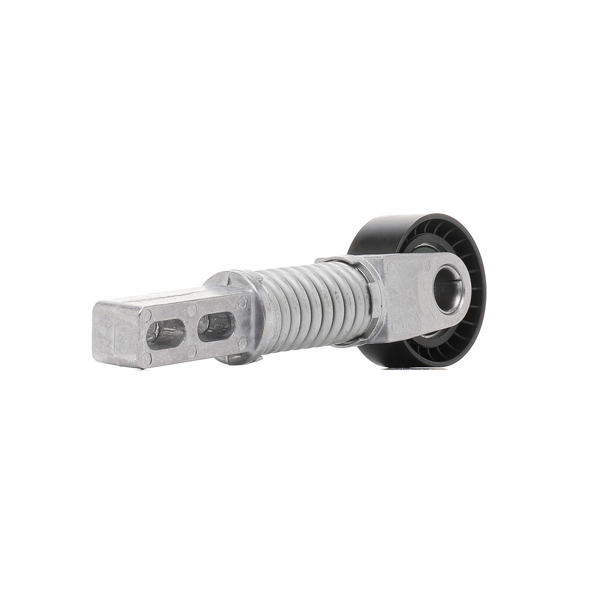 RIDEX 310T0162 Poulie, tendeur de courroie d'accessoire RENAULT Megane Scenic (JA, JA0/1) 1.9 dTi 98 CV Diesel 1999 prix