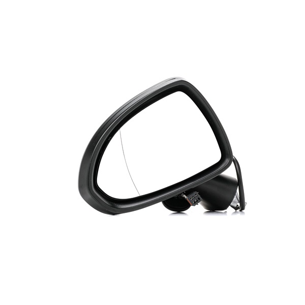 RIDEX Rétroviseur extérieur 50O0330