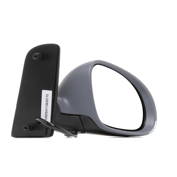 RIDEX 50O0376 Espejo retrovisor