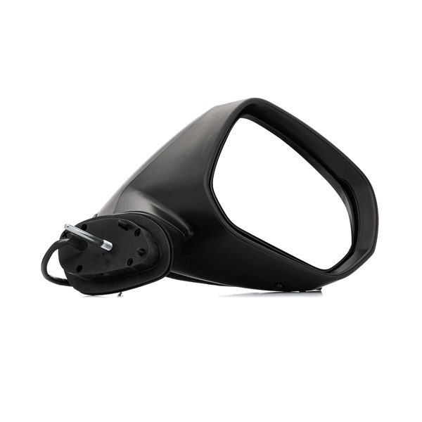 RIDEX 50O0455 Wing mirror