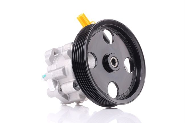 RIDEX Servopumpe 12H0079