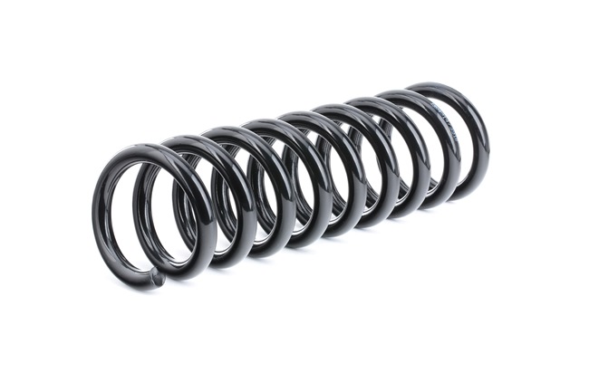 RIDEX 188C0435 Coil spring