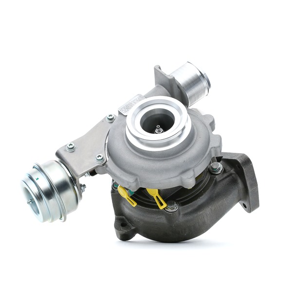 RIDEX Turbocharger 2234C0048