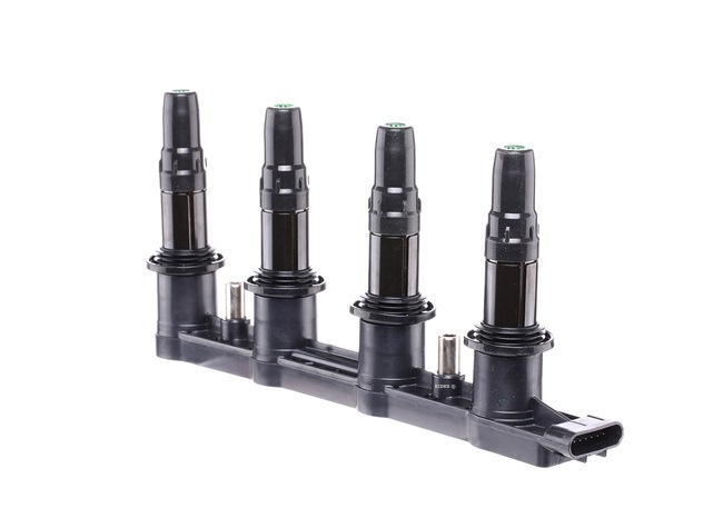 RIDEX Ignition coil 689C0310