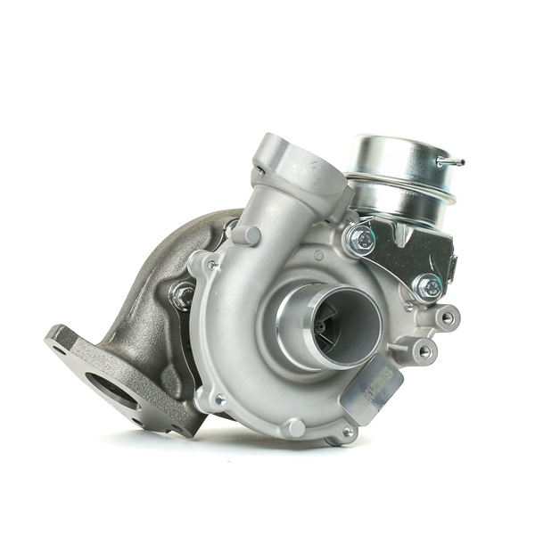 RIDEX Turbocharger 2234C0178