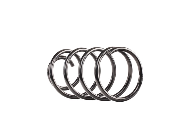 RIDEX Coil spring 188C0607
