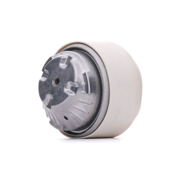 RIDEX Motorlager 247E0196