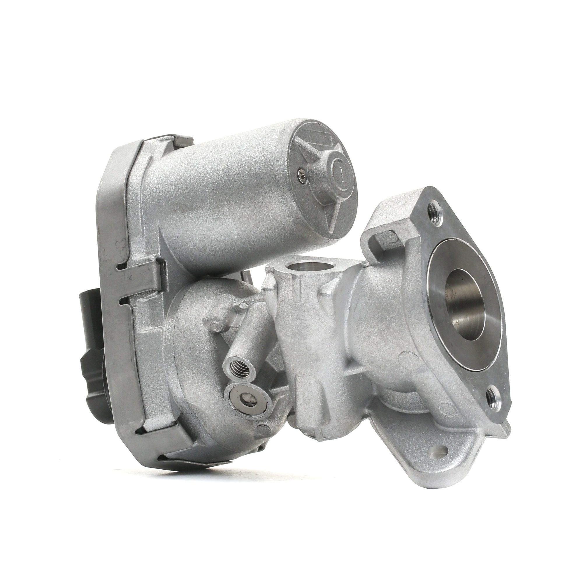 DELPHI EG10399-12B1 EGR valve with gaskets/seals